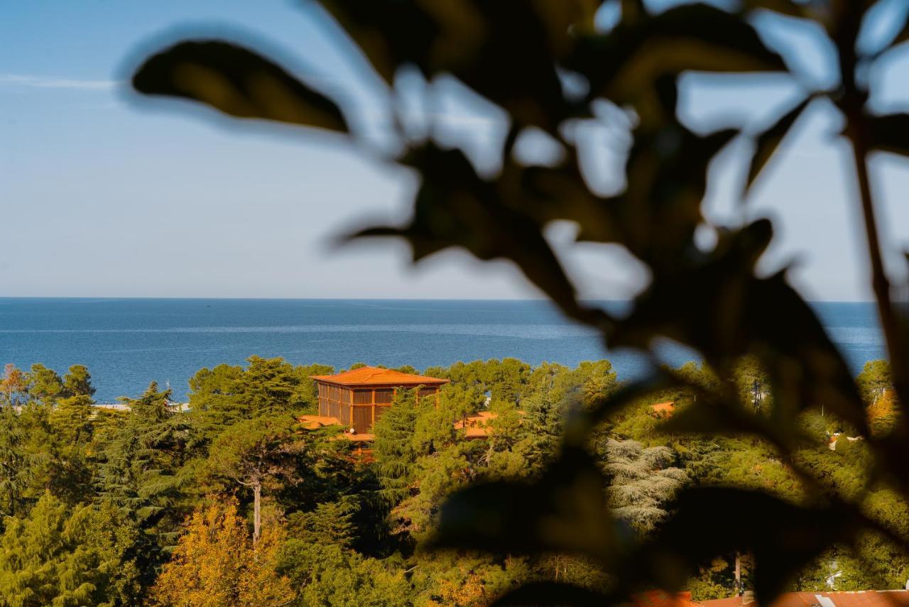 Tapis Rouge Design Boutique Hotel Batoumi Extérieur photo View of the Black Sea from the house of the writer, in Varvarovski, Varvarovski, Varvarovski, Varvarovski, Varvarovski, Varvarovski, Varvarovski, Varvarovski, Varvarovski, Varvarovski, Varvarovski, Varvarovski, Varvarovski, Varvarovski, Varvarovski, 